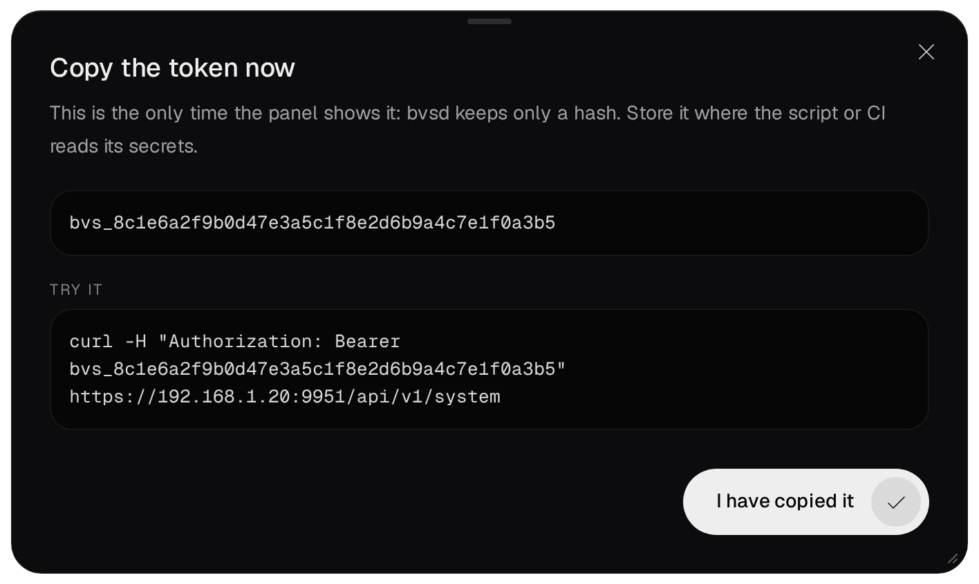 Copy the token now: the token bvs_ and 40 hexadecimal digits (a sample), and a curl command that tries it