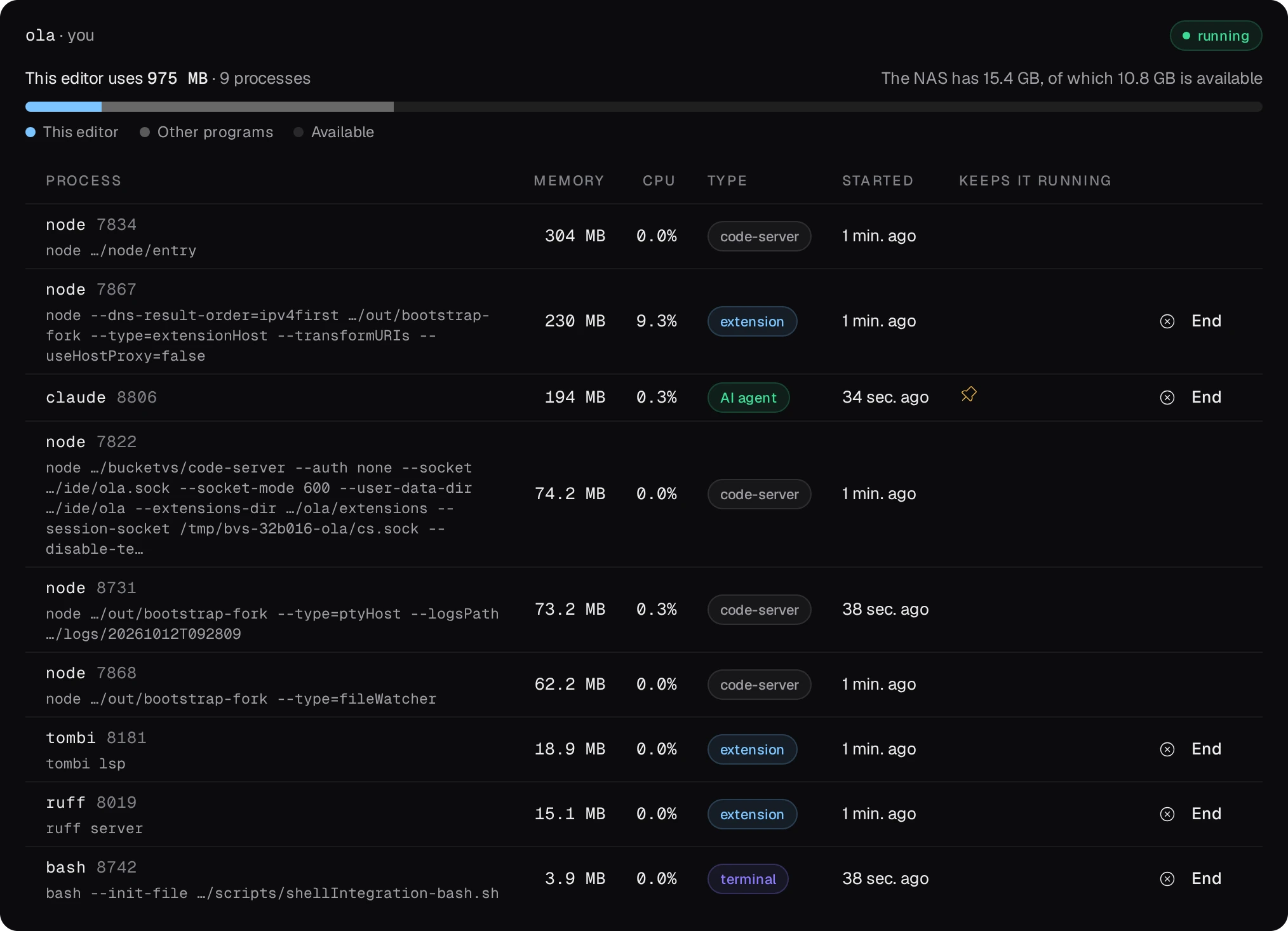 Memory and processes for ola: this editor's memory against the NAS's; the processes code-server, the extension host, claude marked AI agent with a pin under Keeps it running, the terminal's bash and two language servers, each with End where it may be ended