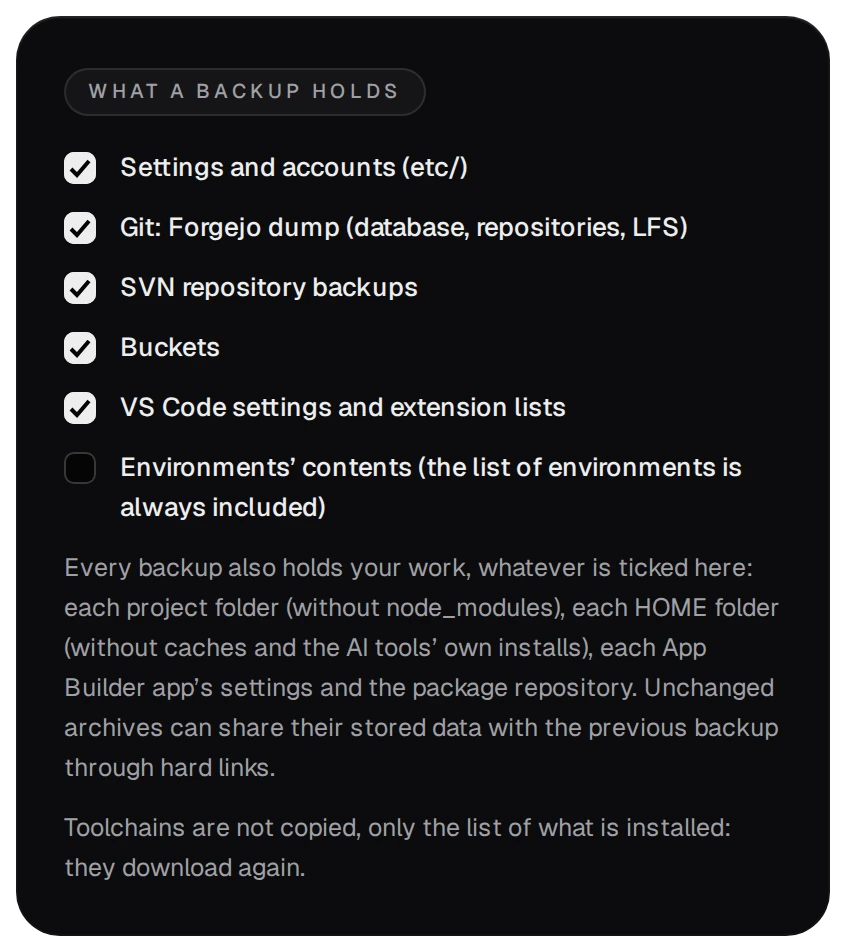 What a backup holds: Settings and accounts, Git, SVN repositories, Buckets and VS Code settings and extension lists ticked, Environments' contents not ticked, and the note on what every backup holds