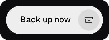 The Back up now button