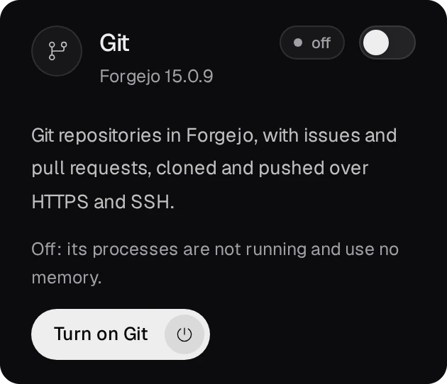 The Git tile on the Overview while Git is off: Forgejo 15.0.9, off, what Git gives, and the Turn on Git button