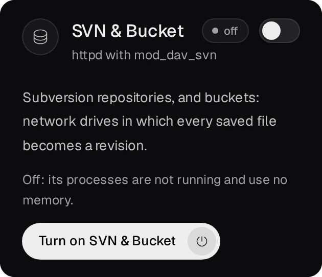 The SVN & Bucket tile on the Overview while it is off: httpd with mod_dav_svn, what it gives, and the Turn on SVN & Bucket button