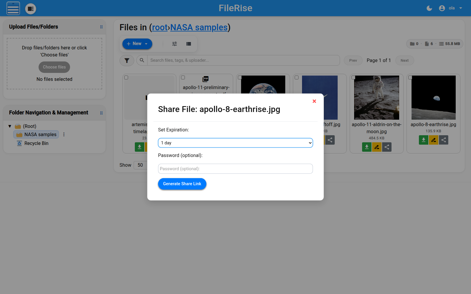 Link expiry and optional password settings