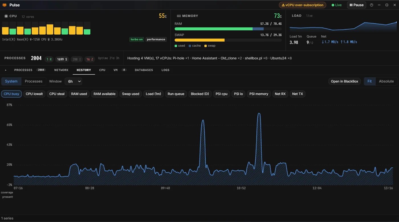 Pulse History: six hours of CPU busy recorded on the NAS, two load spikes standing out of the baseline